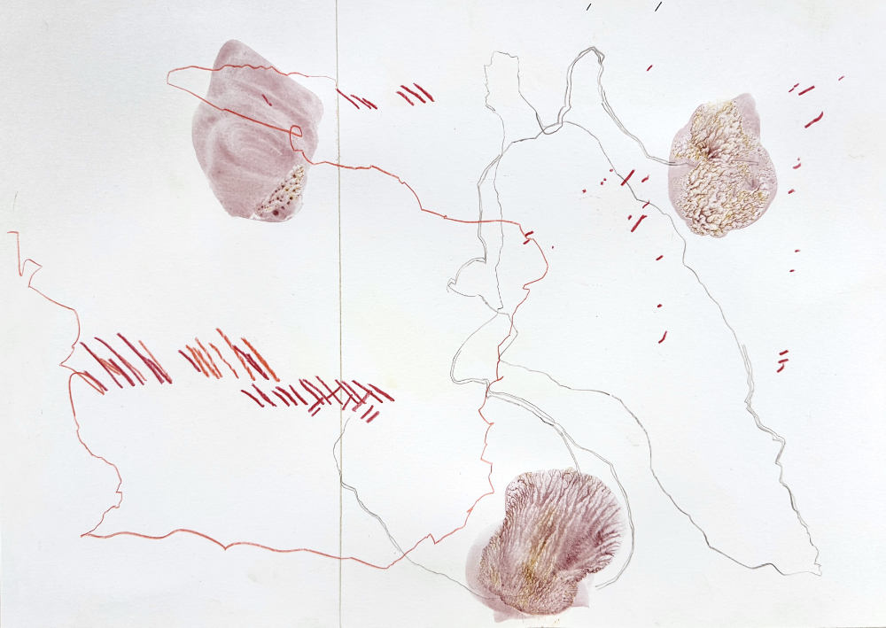 katja pudor_research_matera_momart gallery